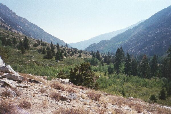 Benson Lake Loop