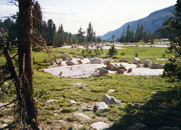 Lyell Fork Trip