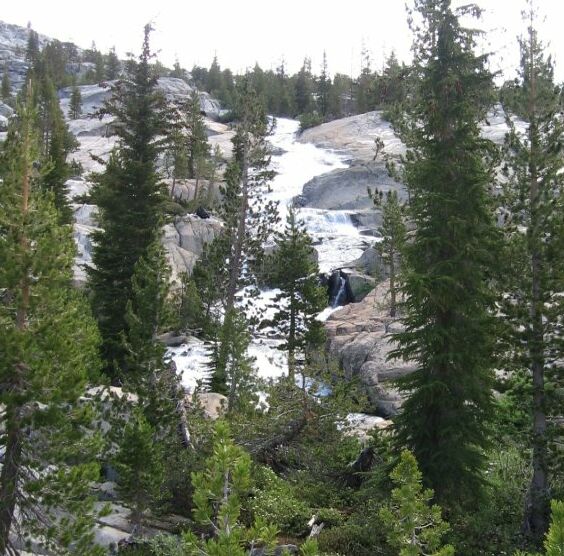 Lyell Fork Trip