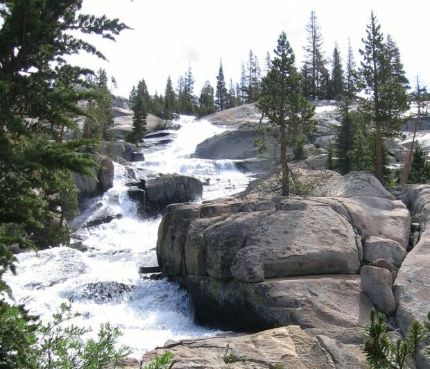 Lyell Fork Trip