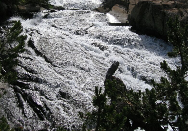 Lyell Fork Trip
