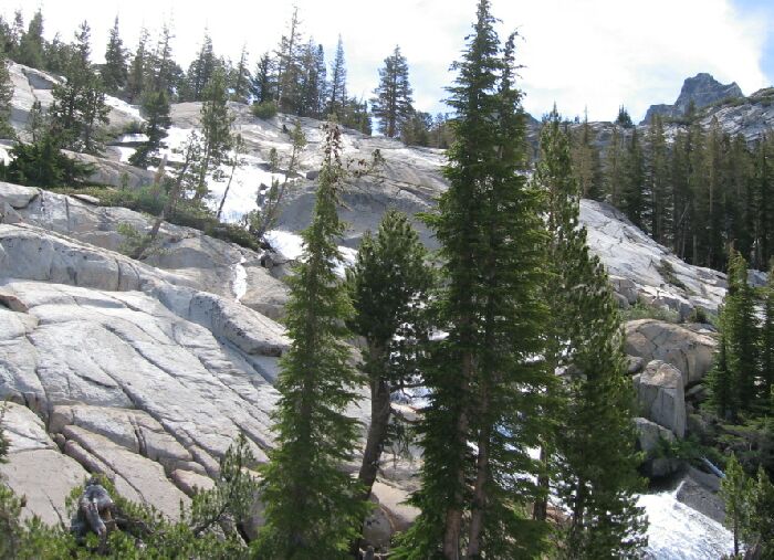 Lyell Fork Trip