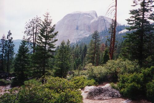 The Climb of Half Dome