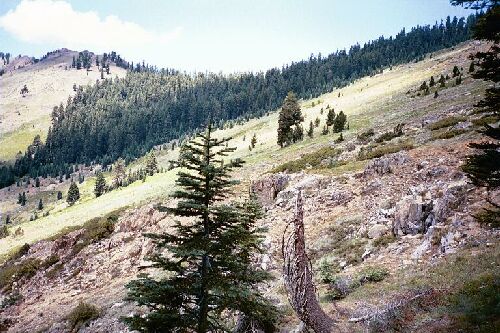 sawtooth03