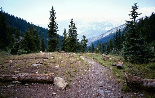 sawtooth03a