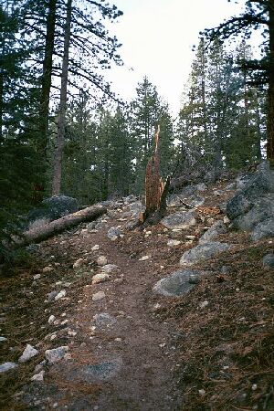 Silver Divide Trip