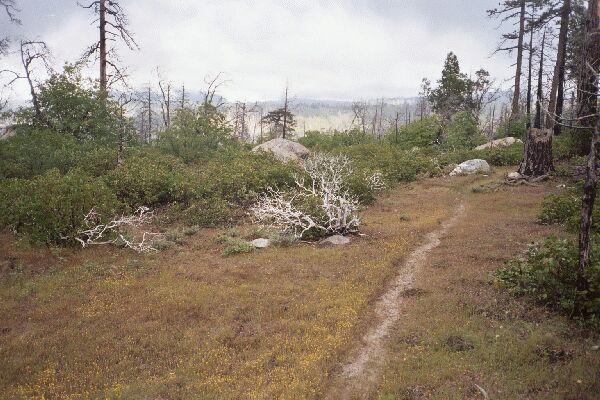 Ottoway Lakes Loop Trip