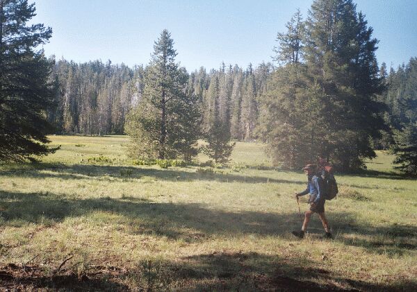 The Grand Canyon of the Tuolumne and Falls