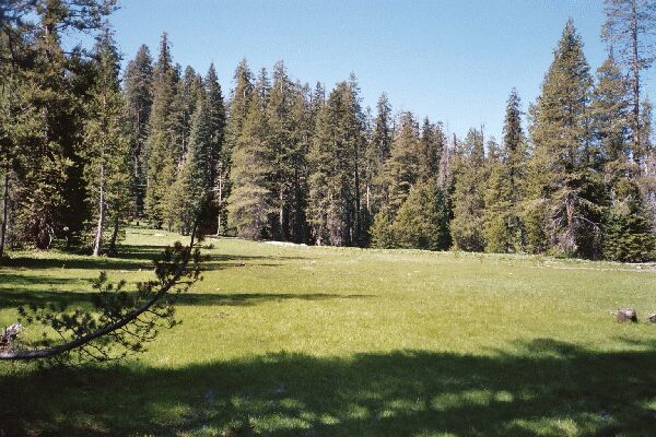 The Grand Canyon of the Tuolumne and Falls