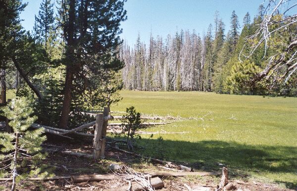 The Grand Canyon of the Tuolumne and Falls