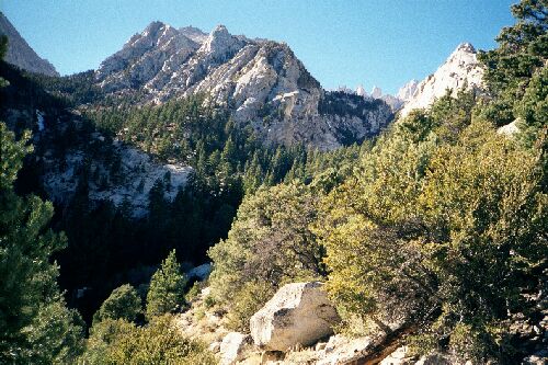 Looking up the Lone Pine Creek Drainage.